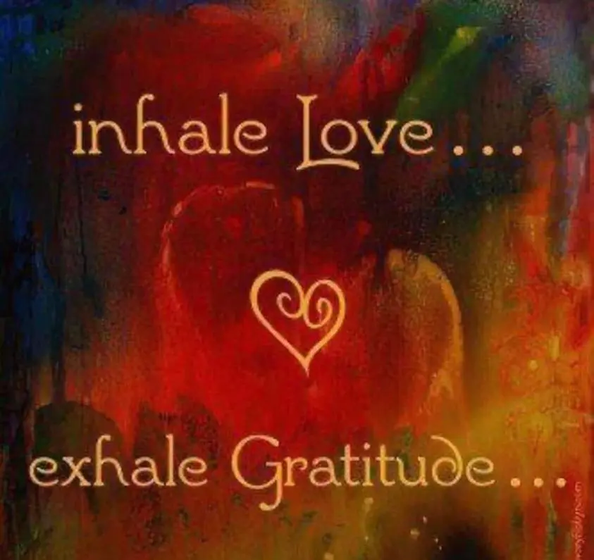 Artistic quote with heart symbol: Inhale Love, Exhale Gratitude.